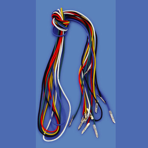 Elastic Neck Cord