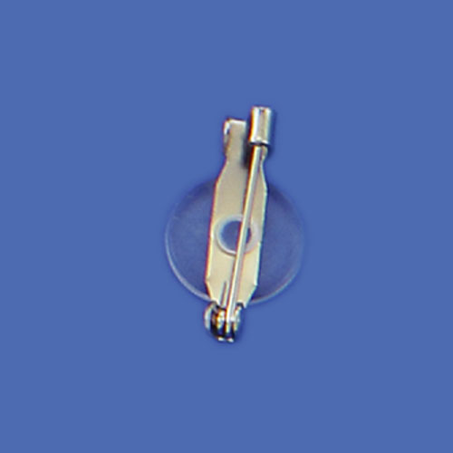 Mini brooch pins store